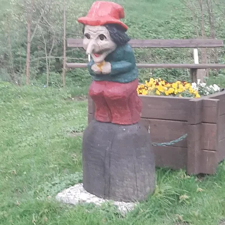 Harzwiesen *