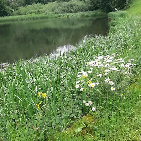 Harzwiesen